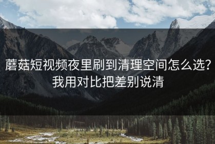 蘑菇短视频夜里刷到清理空间怎么选？我用对比把差别说清