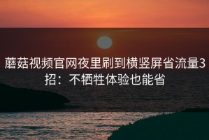 蘑菇视频官网夜里刷到横竖屏省流量3招：不牺牲体验也能省