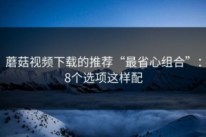 蘑菇视频下载的推荐“最省心组合”：8个选项这样配