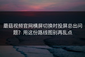 蘑菇视频官网横屏切换时投屏总出问题？用这份路线图别再乱点