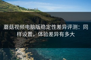 蘑菇视频电脑版稳定性差异评测：同样设置，体验差异有多大