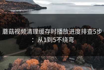 蘑菇视频清理缓存时播放进度排查5步：从1到5不绕弯