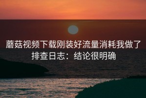 蘑菇视频下载刚装好流量消耗我做了排查日志：结论很明确