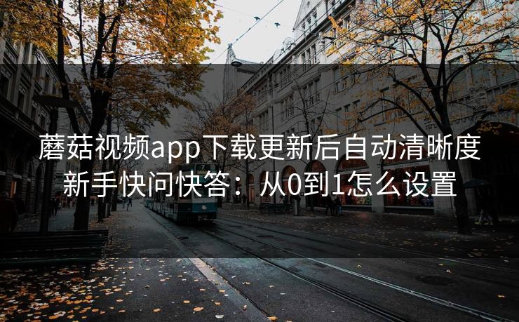 蘑菇视频app下载更新后自动清晰度新手快问快答：从0到1怎么设置